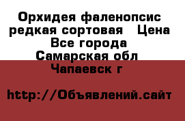 Орхидея фаленопсис редкая сортовая › Цена ­ 800 - Все города  »    . Самарская обл.,Чапаевск г.